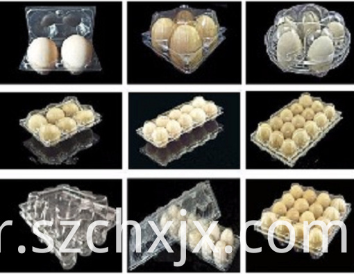 몰딩 및 샘플 Molding and Samples